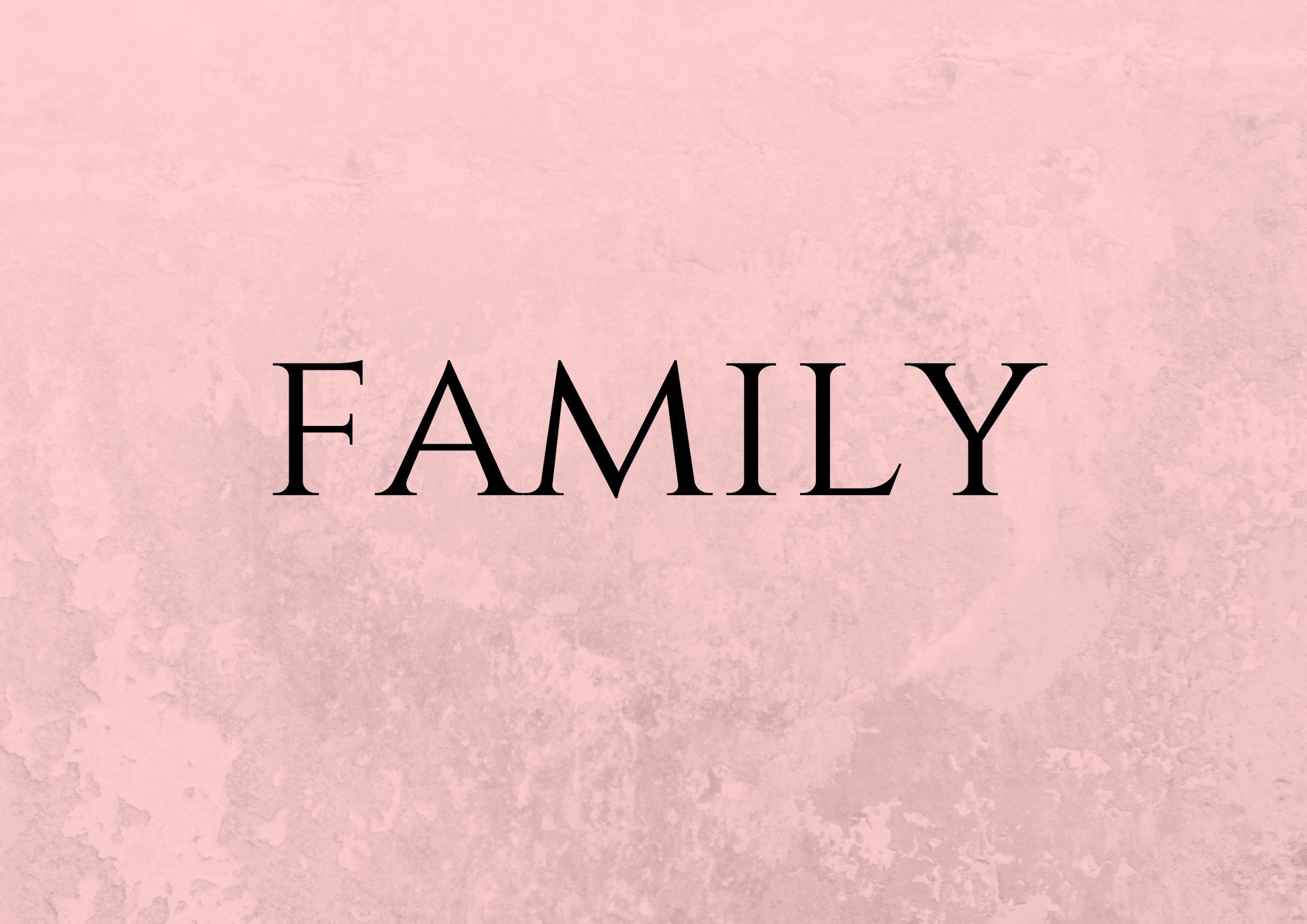 Flash card FAMILY